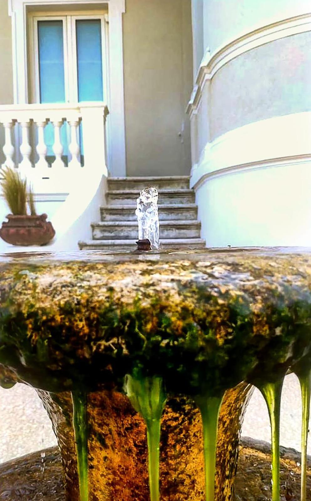 Villa La Torretta Luxury B&B - Adults Only - Римини Экстерьер фото